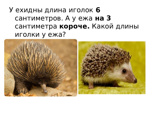 У ехидны длина иголок 6 сантиметров. А у ежа на 3 сантиметра короче. Какой длины иголки у ежа? 