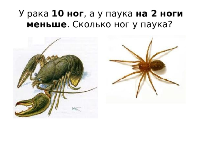  У рака 10 ног , а у паука на 2 ноги меньше . Сколько ног у паука? 