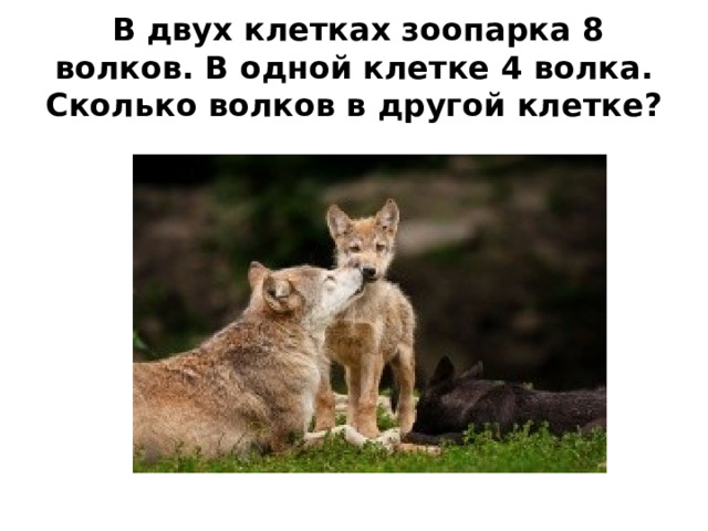  В двух клетках зоопарка 8 волков. В одной клетке 4 волка. Сколько волков в другой клетке? 