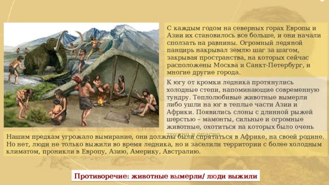 С каждым годом на северных горах Европы и Азии их становилось все больше, и они начали сползать на равнины. Огромный ледяной панцирь накрывал землю шаг за шагом, закрывая пространства, на которых сейчас расположены Москва и Санкт-Петербург, и многие другие города. К югу от кромки ледника протянулись холодные степи, напоминающие современную тундру. Теплолюбивые животные вымерли либо ушли на юг в теплые части Азии и Африки. Появились слоны с длинной рыжей шерстью – мамонты, сильные и огромные животные, охотиться на которых было очень трудно и опасно.  Нашим предкам угрожало вымирание, они должны были спрятаться в Африке, на своей родине. Но нет, люди не только выжили во время ледника, но и заселили территории с более холодным климатом, проникли в Европу, Азию, Америку, Австралию. Противоречие: животные вымерли/ люди выжили 