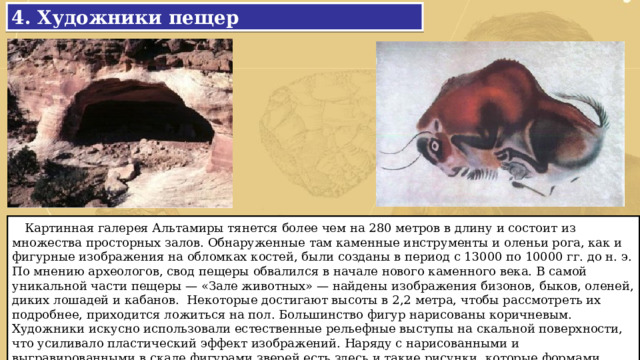 4. Художники пещер  Картинная галерея Альтамиры тянется более чем на 280 метров в длину и состоит из множества просторных залов. Обнаруженные там каменные инструменты и оленьи рога, как и фигурные изображения на обломках костей, были созданы в период с 13000 по 10000 гг. до н. э. По мнению археологов, свод пещеры обвалился в начале нового каменного века. В самой уникальной части пещеры — «Зале животных» — найдены изображения бизонов, быков, оленей, диких лошадей и кабанов. Некоторые достигают высоты в 2,2 метра, чтобы рассмотреть их подробнее, приходится ложиться на пол. Большинство фигур нарисованы коричневым. Художники искусно использовали естественные рельефные выступы на скальной поверхности, что усиливало пластический эффект изображений. Наряду с нарисованными и выгравированными в скале фигурами зверей есть здесь и такие рисунки, которые формами отдаленно напоминают человеческое тело. 