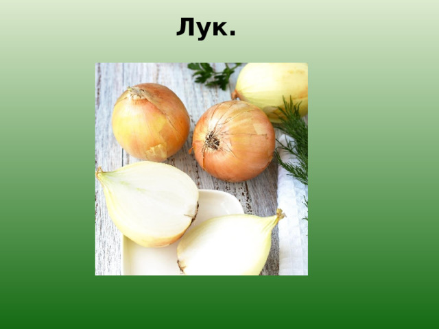Лук. 