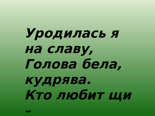 Уродилась я на славу,  Голова бела, кудрява.  Кто любит щи –  Меня в них ищи.  
