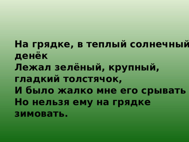 На грядке, в теплый солнечный денёк  Лежал зелёный, крупный, гладкий толстячок,  И было жалко мне его срывать -  Но нельзя ему на грядке зимовать.   