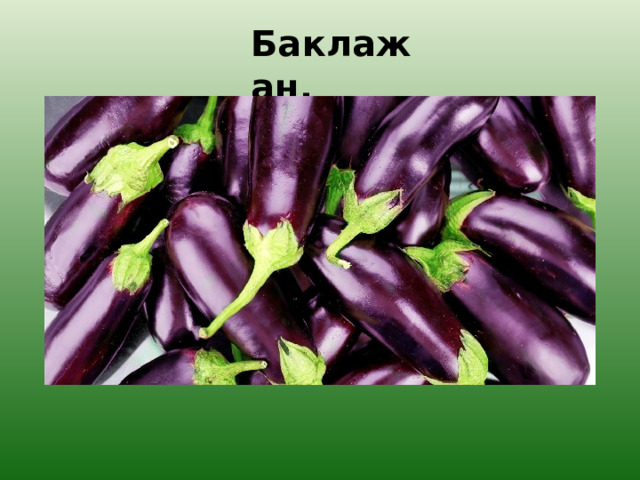 Баклажан. 