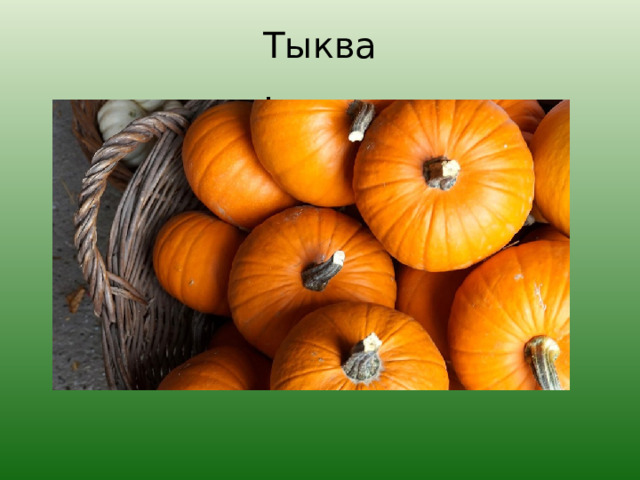 Тыква. 