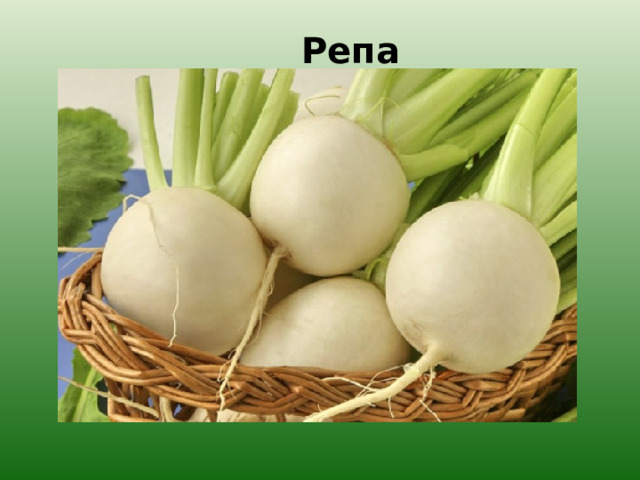 Репа. 