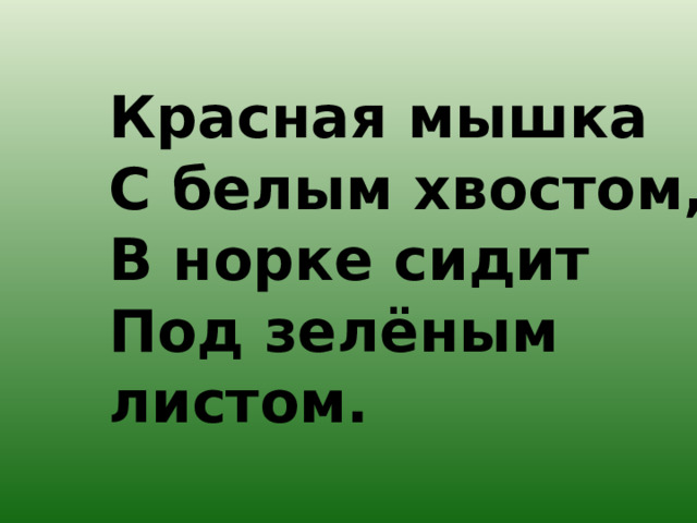 Красная мышка  С белым хвостом,  В норке сидит  Под зелёным листом.   
