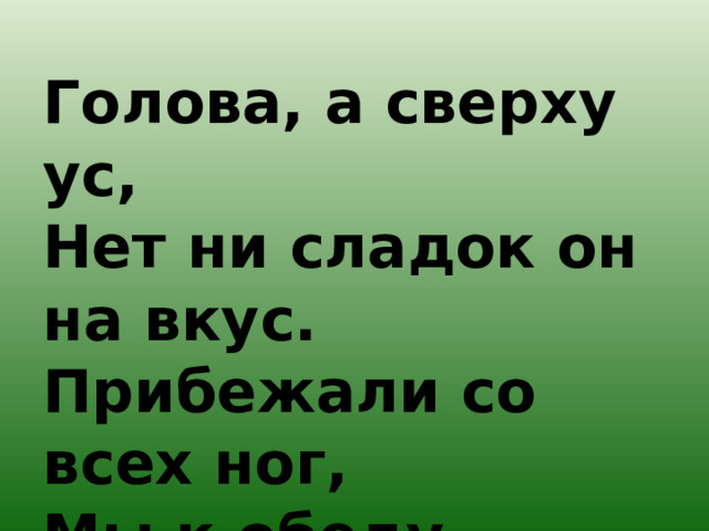 Голова, а сверху ус,  Нет ни сладок он на вкус.  Прибежали со всех ног,  Мы к обеду рвать… 