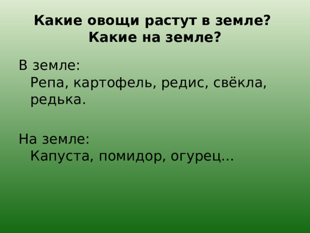 Какие овощи растут в земле?  Какие на земле? В земле:  Репа, картофель, редис, свёкла, редька.   На земле:  Капуста, помидор, огурец… 