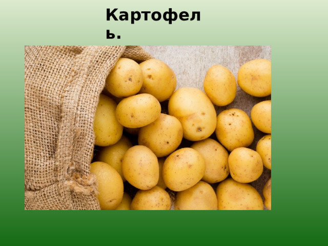 Картофель. 