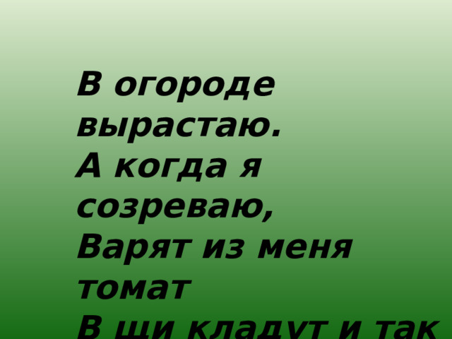 В огороде вырастаю.  А когда я созреваю, Варят из меня томат  В щи кладут и так едят.  