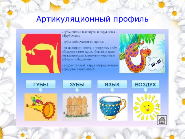   Артикуляционный профиль 