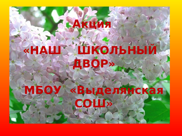 Акция   «НАШ ШКОЛЬНЫЙ ДВОР»   МБОУ «Выделянская СОШ» 