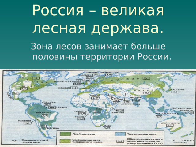 Россия – великая лесная держава. Зона лесов занимает больше половины территории России. 