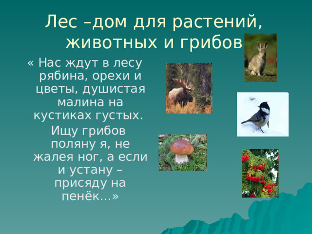 Лес –дом для растений, животных и грибов « Нас ждут в лесу рябина, орехи и цветы, душистая малина на кустиках густых.  Ищу грибов поляну я, не жалея ног, а если и устану – присяду на пенёк…» 
