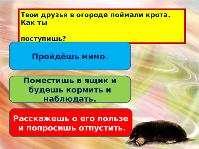 Твои друзья в огороде поймали крота. Как ты  поступишь? Пройдёшь мимо. Поместишь в ящик и будешь кормить и наблюдать. Расскажешь о его пользе и попросишь отпустить. 