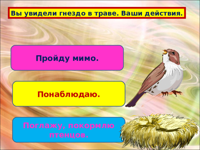 Вы увидели гнездо в траве. Ваши действия. Пройду мимо. Понаблюдаю. Поглажу, покормлю птенцов. 