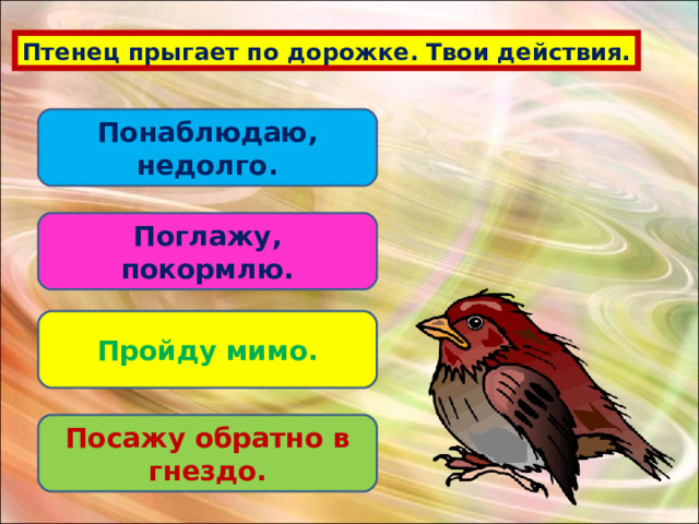 Птенец прыгает по дорожке. Твои действия. Понаблюдаю, недолго. Поглажу, покормлю. Пройду мимо. Посажу обратно в гнездо. 