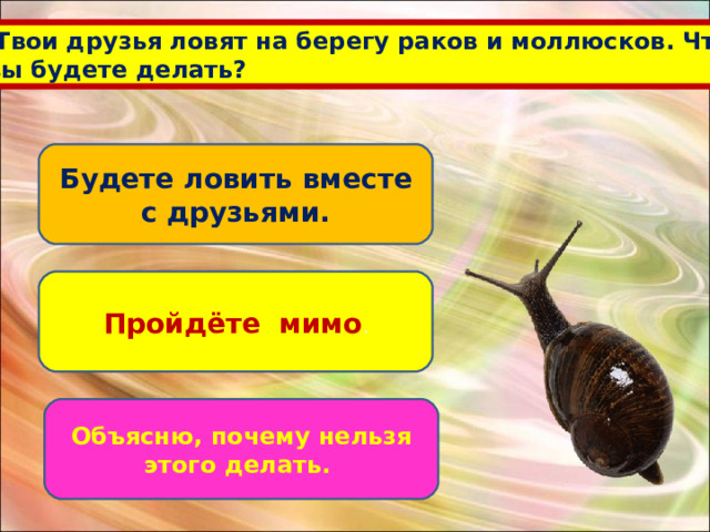  Твои друзья ловят на берегу раков и моллюсков. Что  вы будете делать? Будете ловить вместе с друзьями. Пройдёте мимо . Объясню, почему нельзя этого делать. 