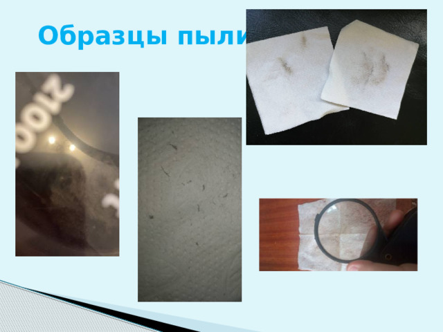 Образцы пыли 