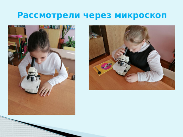 Рассмотрели через микроскоп 
