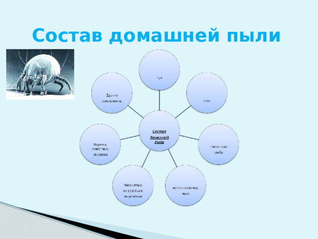 Состав домашней пыли 