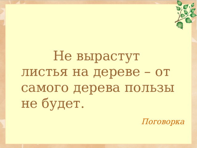    Не вырастут листья на дереве – от самого дерева пользы не будет.   Поговорка  