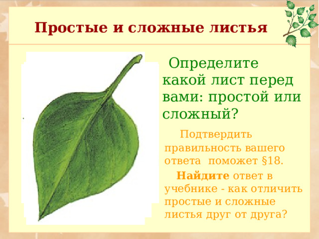 Простые и сложные листья  Определите какой лист перед вами: простой или сложный?  Подтвердить правильность вашего ответа поможет § 18.  Найдите ответ в учебнике - как отличить простые и сложные листья друг от друга? 