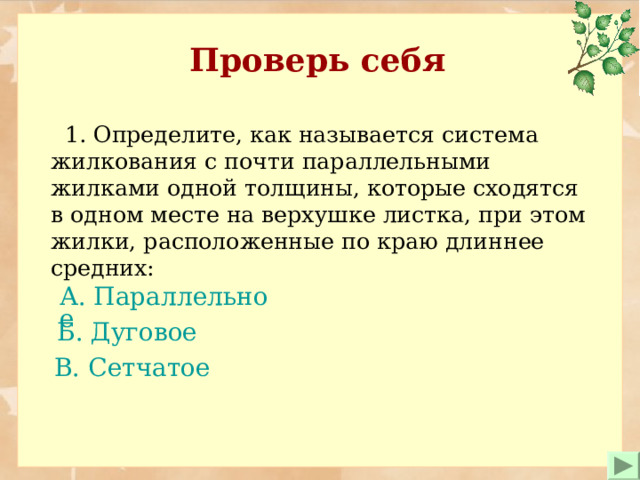 Проверь себя  1. Определите, как называется система жилкования с почти параллельными жилками одной толщины, которые сходятся в одном месте на верхушке листка, при этом жилки, расположенные по краю длиннее средних: А. Параллельное   Б. Дуговое В. Сетчатое 