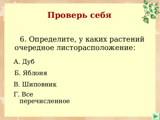 Проверь себя  6. Определите , у каких растений очередное листорасположение : А. Дуб  Б. Яблоня В. Шиповник  Г. Все перечисленное  