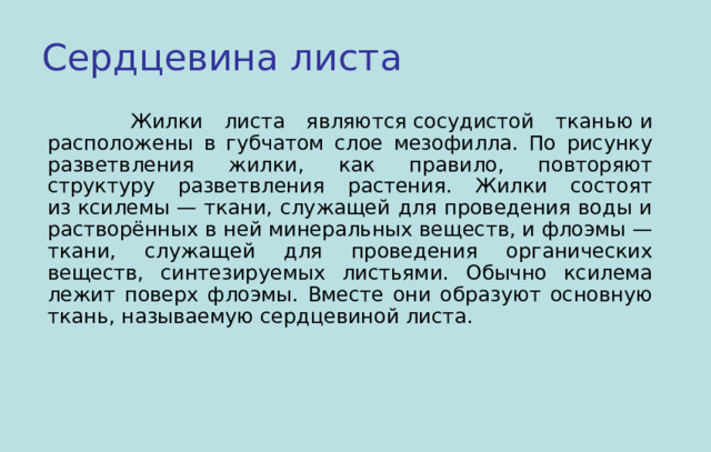 Сердцевина листа  Жилки листа являются сосудистой тканью и расположены в губчатом слое мезофилла. По рисунку разветвления жилки, как правило, повторяют структуру разветвления растения. Жилки состоят из ксилемы — ткани, служащей для проведения воды и растворённых в ней минеральных веществ, и флоэмы — ткани, служащей для проведения органических веществ, синтезируемых листьями. Обычно ксилема лежит поверх флоэмы. Вместе они образуют основную ткань, называемую сердцевиной листа. 