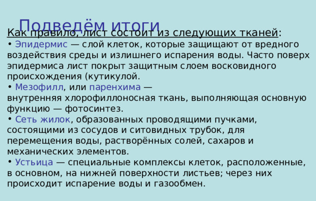Подведём итоги Как правило, лист состоит из следующих тканей :  Эпидермис  — слой клеток, которые защищают от вредного воздействия среды и излишнего испарения воды. Часто поверх эпидермиса лист покрыт защитным слоем восковидного происхождения (кутикулой.  Мезофилл , или  паренхима  — внутренняя хлорофиллоносная ткань, выполняющая основную функцию — фотосинтез.  Сеть жилок , образованных проводящими пучками, состоящими из сосудов и ситовидных трубок, для перемещения воды, растворённых солей, сахаров и механических элементов.  Устьица  — специальные комплексы клеток, расположенные, в основном, на нижней поверхности листьев; через них происходит испарение воды и газообмен.  