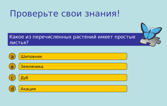 Проверьте свои знания! Какое из перечисленных растений имеет простые листья? а Шиповник в Земляника с Дуб d Акация 