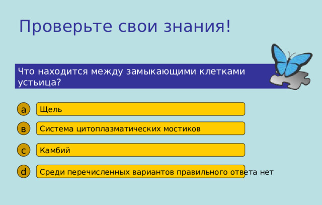 Проверьте свои знания! Что находится между замыкающими клетками устьица? а Щель в Система цитоплазматических мостиков с Камбий d Среди перечисленных вариантов правильного ответа нет 