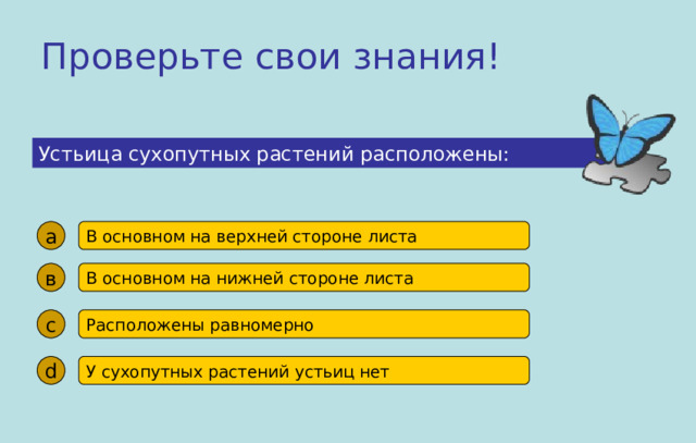 Проверьте свои знания! Устьица сухопутных растений расположены: а В основном на верхней стороне листа в В основном на нижней стороне листа с Расположены равномерно d У сухопутных растений устьиц нет 