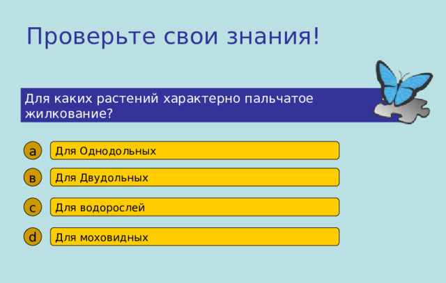 Проверьте свои знания! Для каких растений характерно пальчатое жилкование? а Для Однодольных в Для Двудольных с Для водорослей d Для моховидных 