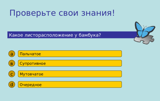 Проверьте свои знания! Какое листорасположение у бамбука? а Пальчатое в Супротивное с Мутовчатое d Очередное 