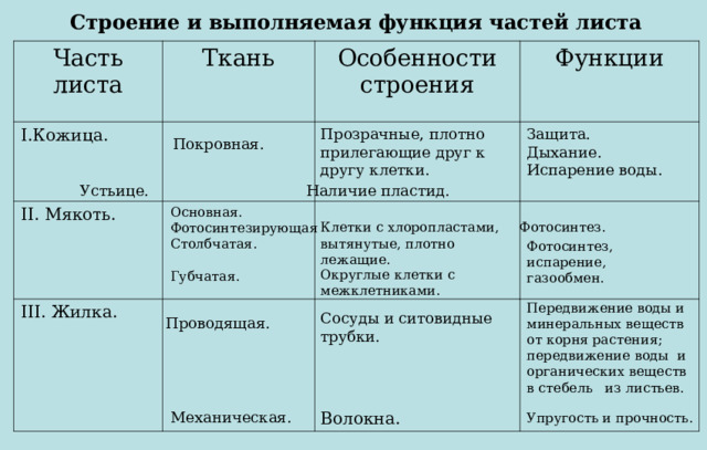  Строение и выполняемая функция частей листа Часть листа Ткань Кожица. Особенности строения II . Мякоть. Функции III . Жилка. Прозрачные, плотно прилегающие друг к другу клетки. Защита. Дыхание. Испарение воды. Покровная. Наличие пластид. Устьице. Основная. Фотосинтезирующая Столбчатая. Губчатая. Клетки с хлоропластами, вытянутые, плотно лежащие. Фотосинтез. Фотосинтез, испарение, газообмен. Округлые клетки с межклетниками. Передвижение воды и минеральных веществ от корня растения; передвижение воды и органических веществ в стебель из листьев. Сосуды и ситовидные трубки. Проводящая. Механическая. Волокна. Упругость и прочность. 