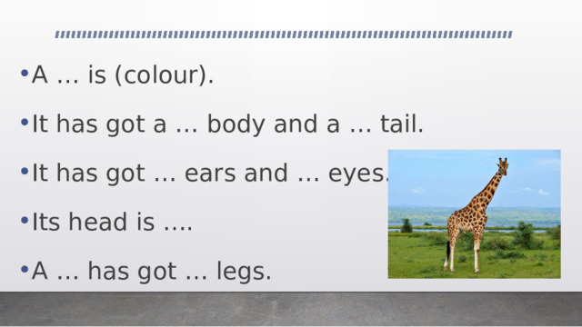 A … is (colour). It has got a … body and a … tail. It has got … ears and … eyes. Its head is …. A … has got … legs.  