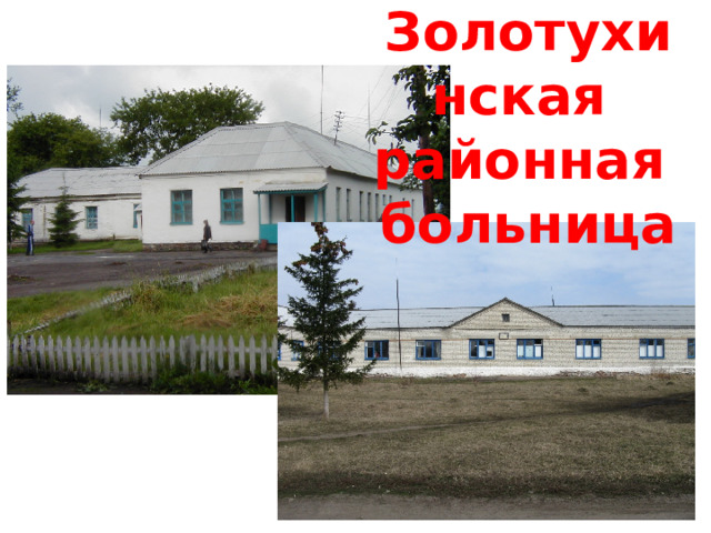 Золотухинская  районная  больница 