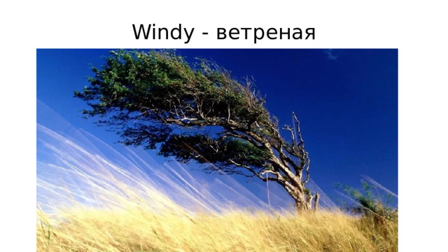 Windy - ветреная 
