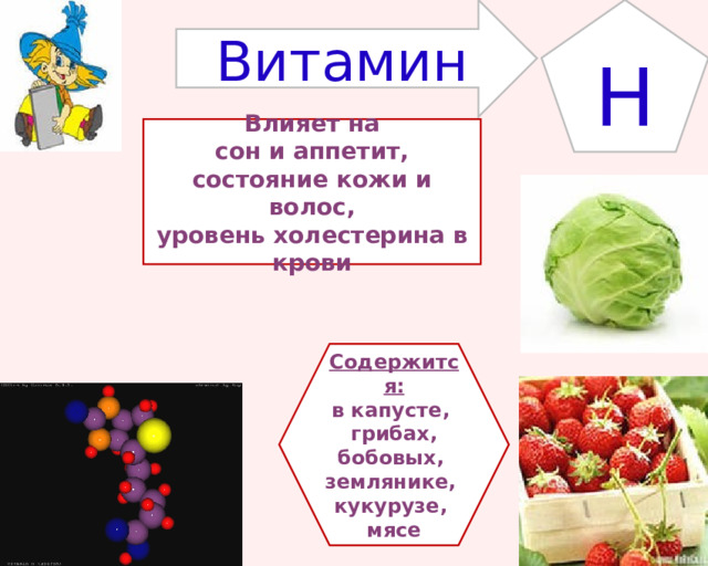 Витамин H Влияет на  сон и аппетит, состояние кожи и волос, уровень холестерина в крови Содержится: в капусте, грибах, бобовых, землянике, кукурузе, мясе 