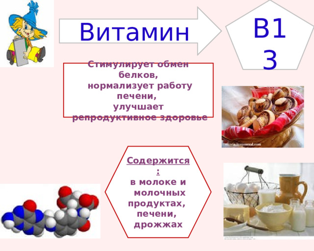 B 13 Витамин Стимулирует обмен белков,  нормализует работу печени, улучшает  репродуктивное здоровье Содержится: в молоке и  молочных продуктах, печени, дрожжах 