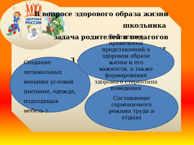  В вопросе здорового образа жизни школьника задача родителей и педагогов подразумевает 3 основных направления:   Воспитание правильных представлений о здоровом образе жизни и его важности, а также формирование здорового стереотипа поведения Создание оптимальных внешних условий (питание, одежда, подходящая мебель ) Составление гармоничного режима труда и отдыха 