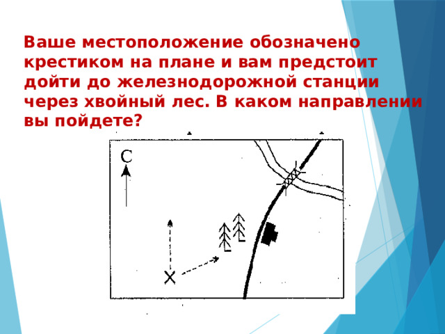  Ваше местоположение обозначено крестиком на плане и вам предстоит дойти до железнодорожной станции через хвойный лес. В каком направлении вы пойдете? 