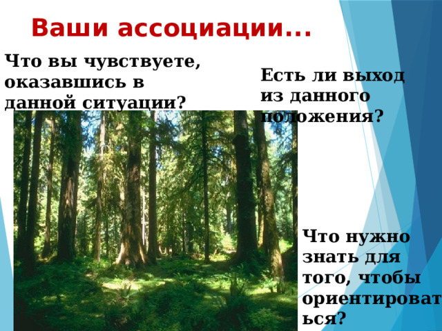 Ваши ассоциации... Что вы чувствуете, оказавшись в данной ситуации? Есть ли выход из данного положения? Что нужно знать для того, чтобы ориентироваться? 
