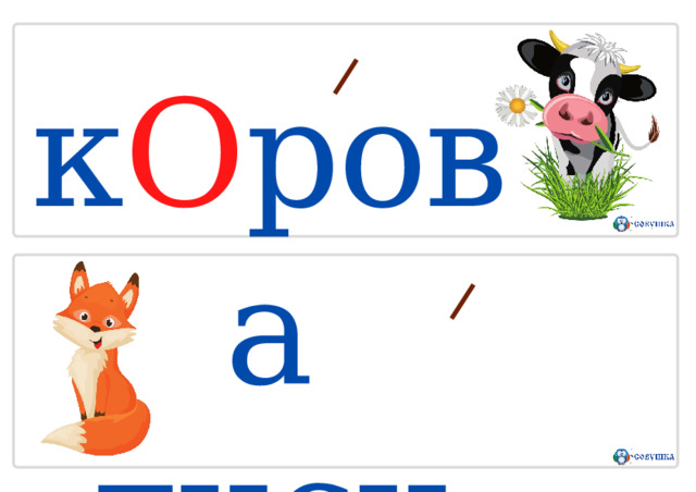 к О рова  лиси Ц а 