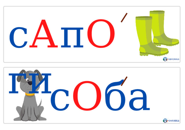с А п О г и с О б ак а 