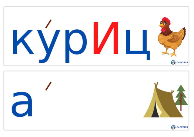 к у р И ц а лаг Е рь 
